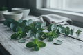 Minty Eucalyptus
