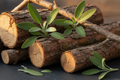 Sage and Timber