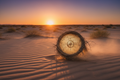 Tumbleweed World Traveler